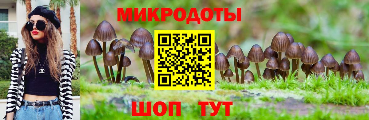 Псилоцибиновые грибы GOLDEN TEACHER  Галлюциногенные грибы GOLDEN TEACHER  Норильск  купить  цена  Вход с VPN 